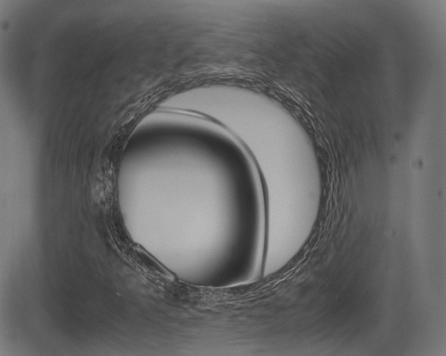 X0000081291349200701110858