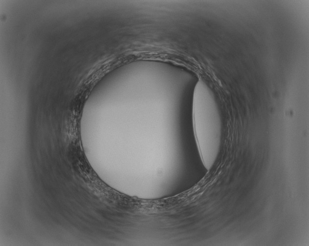 X0000081291350200701110858