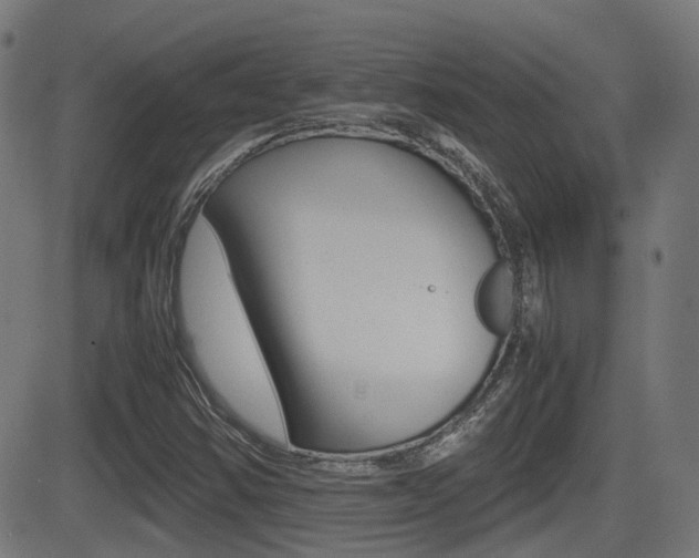 X0000081291354200701110858