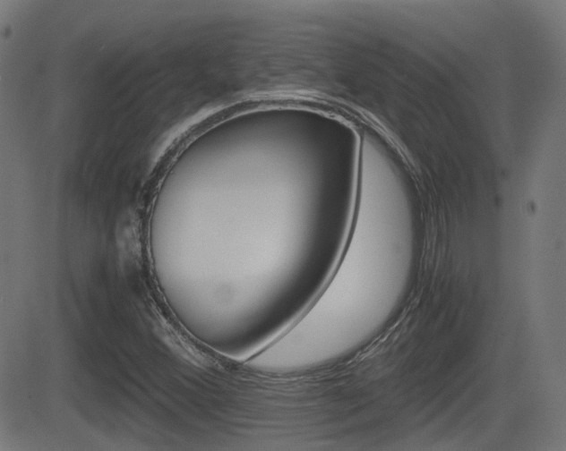 X0000081291356200701110858