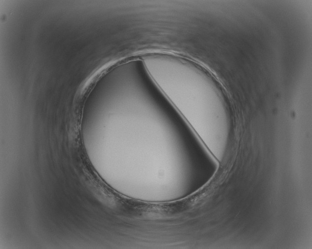 X0000081291359200701110858