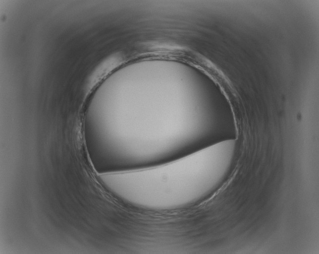 X0000081291362200701110858