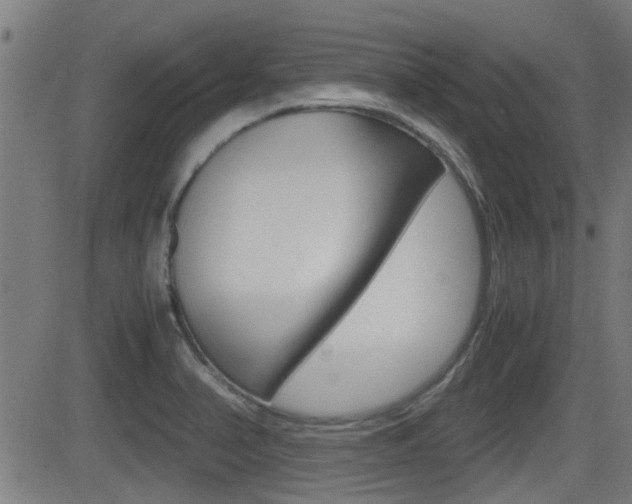 X0000081291374200701110858