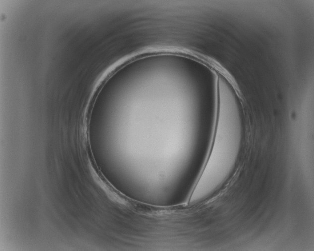 X0000081291380200701110858