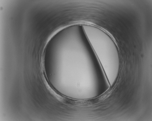 X0000081291391200701110857