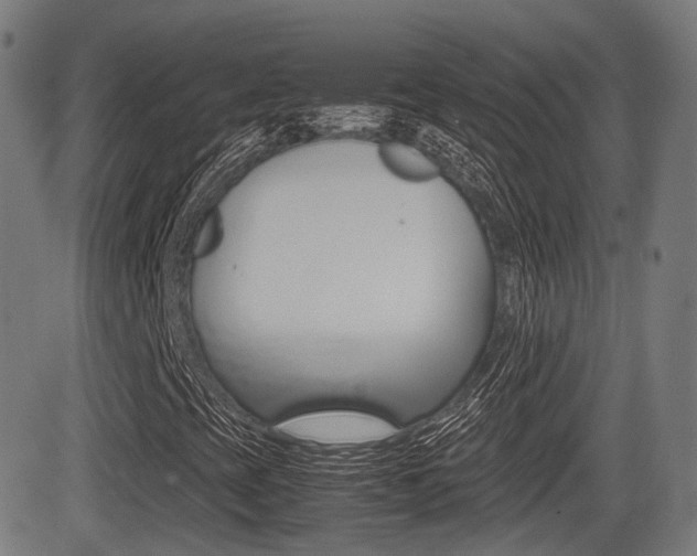 X0000081291393200701110857