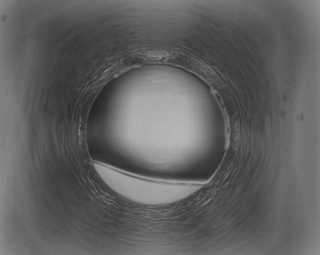 X0000081291394200701110857
