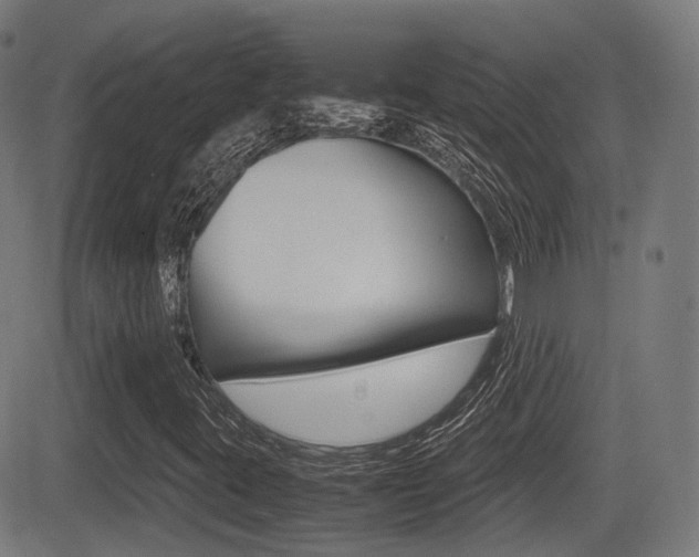 X0000081291395200701110857