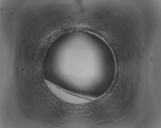 X0000081291398200701110857
