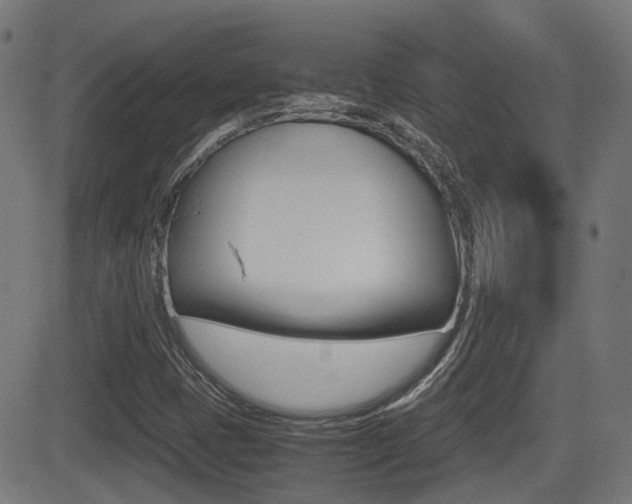 X0000081291401200701110857