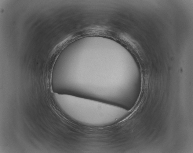 X0000081291403200701110857