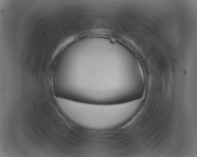 X0000081291405200701110857