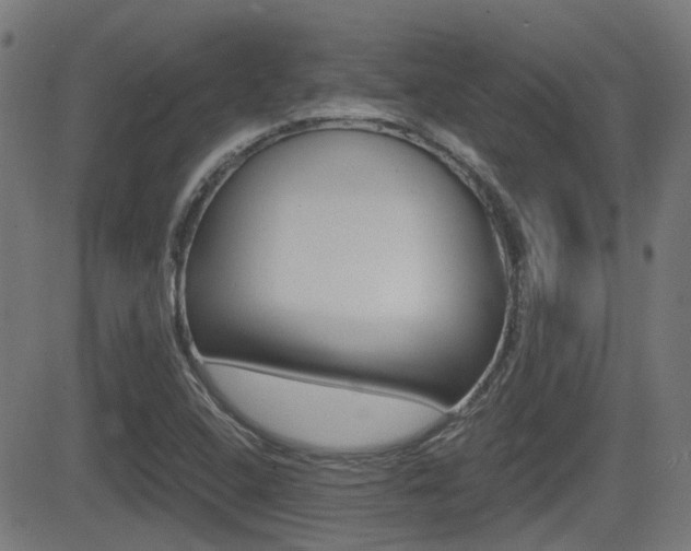 X0000081291408200701110857