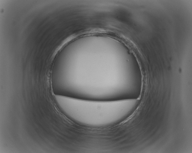 X0000081291409200701110857