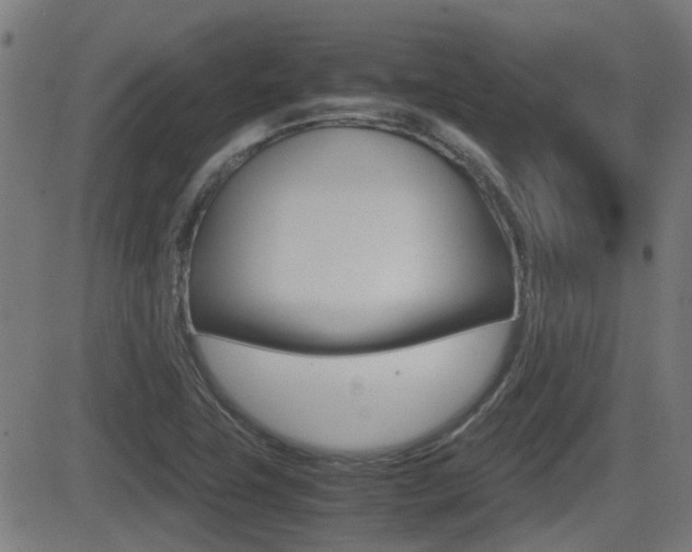 X0000081291411200701110857