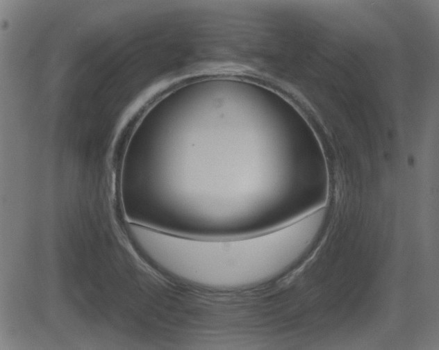 X0000081291414200701110857