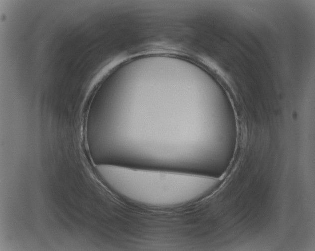X0000081291415200701110857