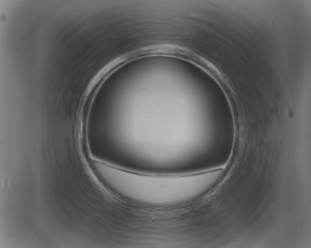 X0000081291418200701110857