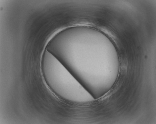 X0000081291423200701110857