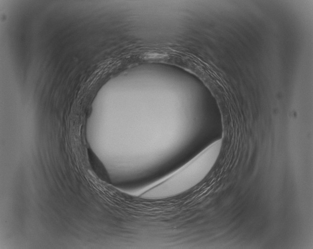 X0000081291441200701110857
