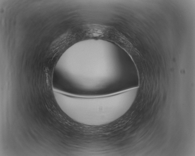 X0000081291442200701110857