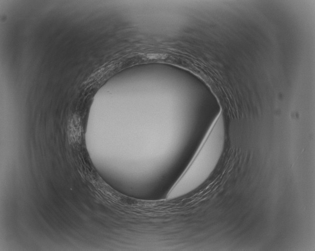 X0000081291443200701110857