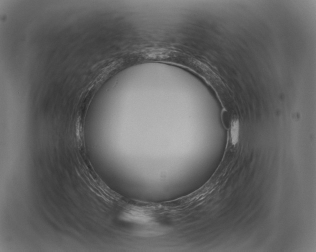 X0000081291444200701110857