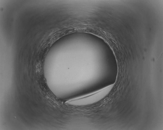 X0000081291445200701110857