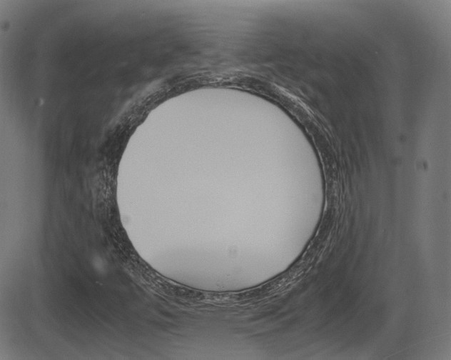 X0000081291447200701110857