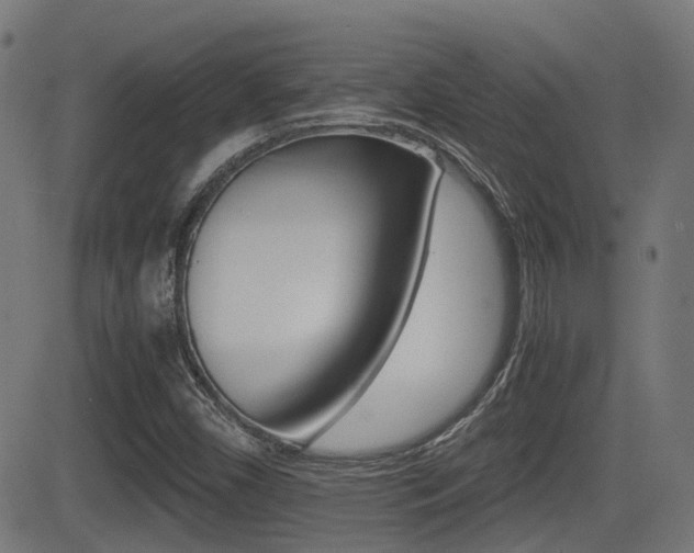 X0000081291450200701110857