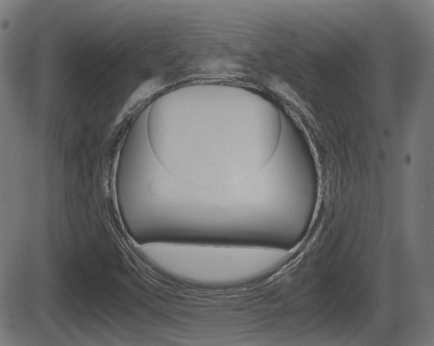 X0000081291451200701110856