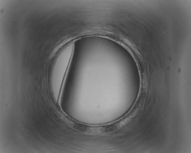 X0000081291453200701110856