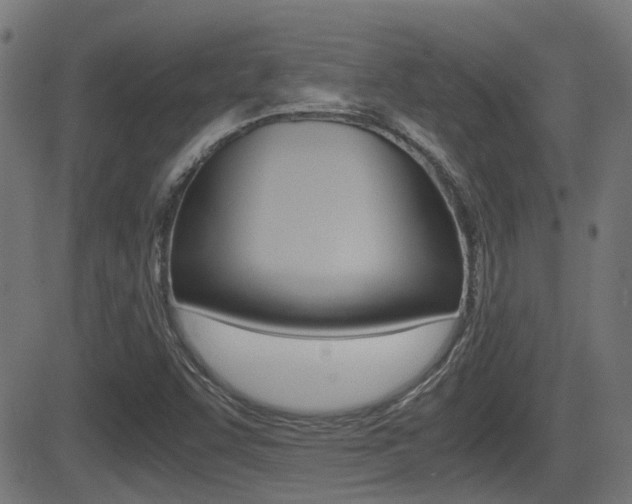 X0000081291455200701110856