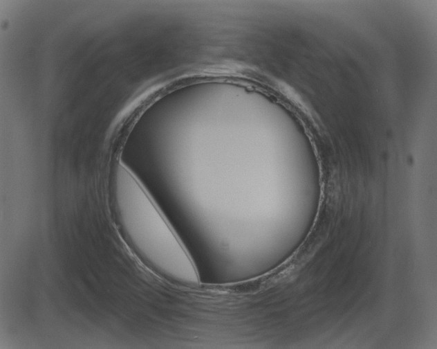 X0000081291456200701110856