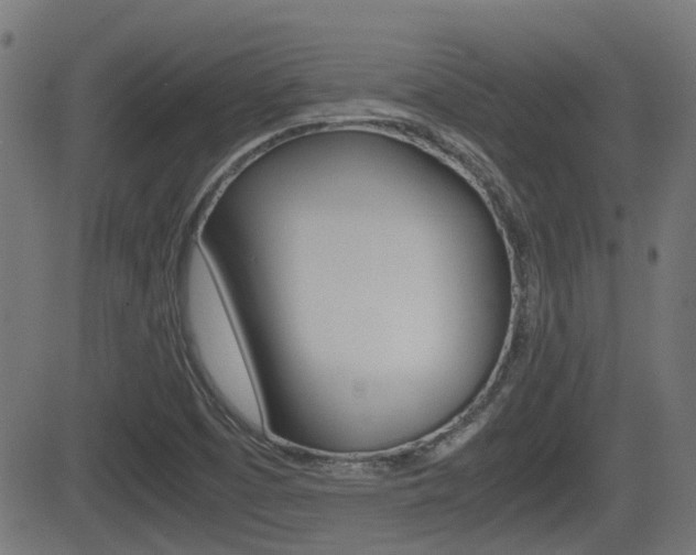 X0000081291457200701110856