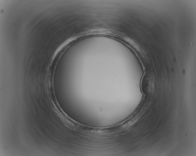 X0000081291458200701110856