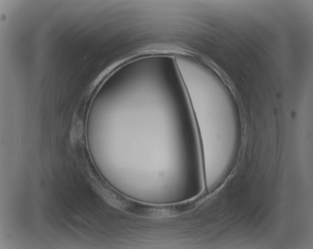 X0000081291465200701110856