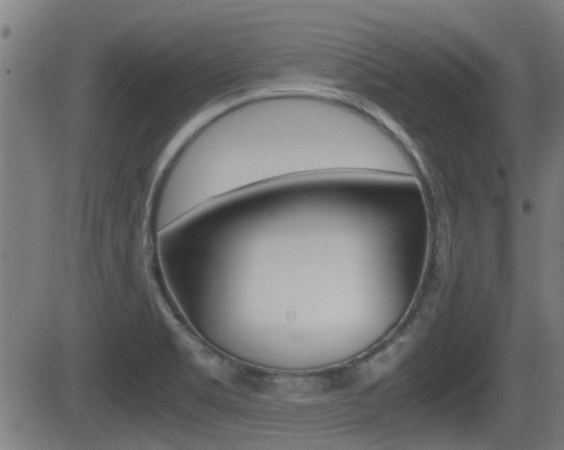 X0000081291469200701110856