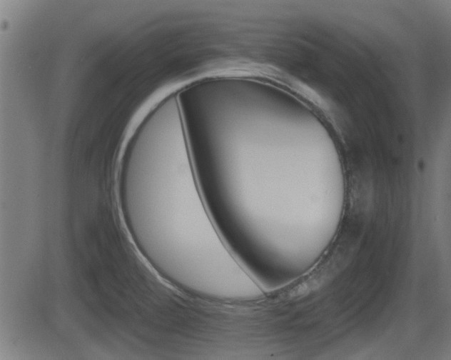 X0000081291472200701110856