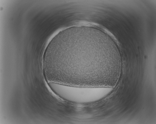 X0000081291479200701110856