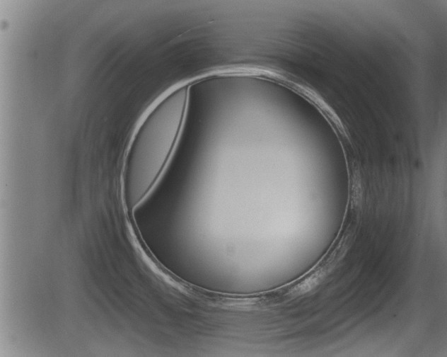 X0000081291484200701110856