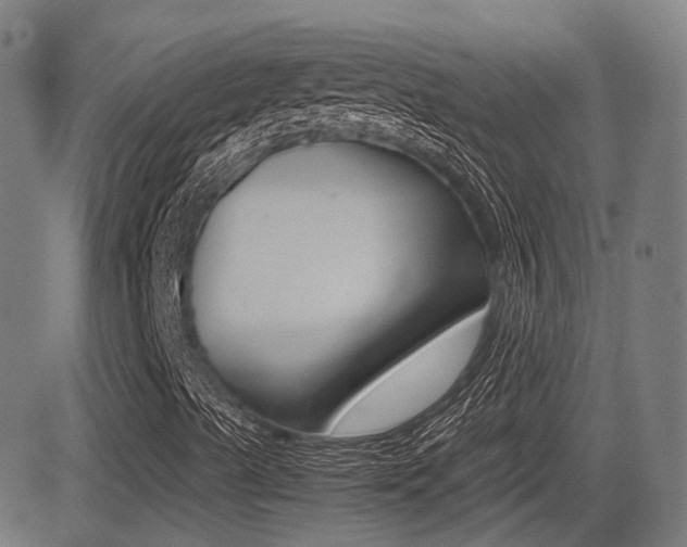 X0000081291489200701110855