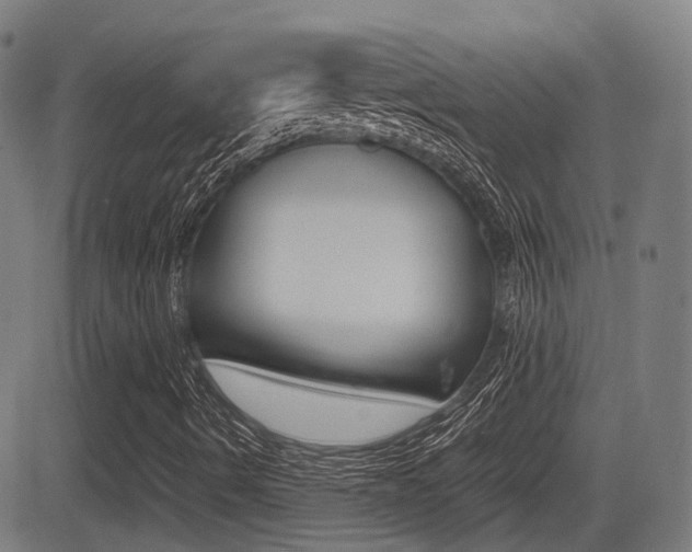 X0000081291490200701110855