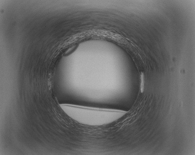 X0000081291491200701110855