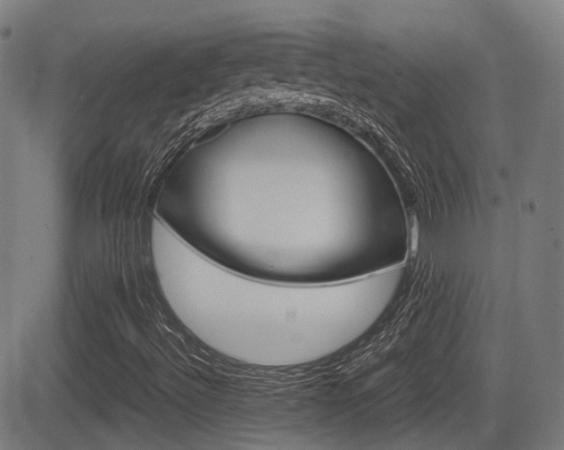 X0000081291492200701110855