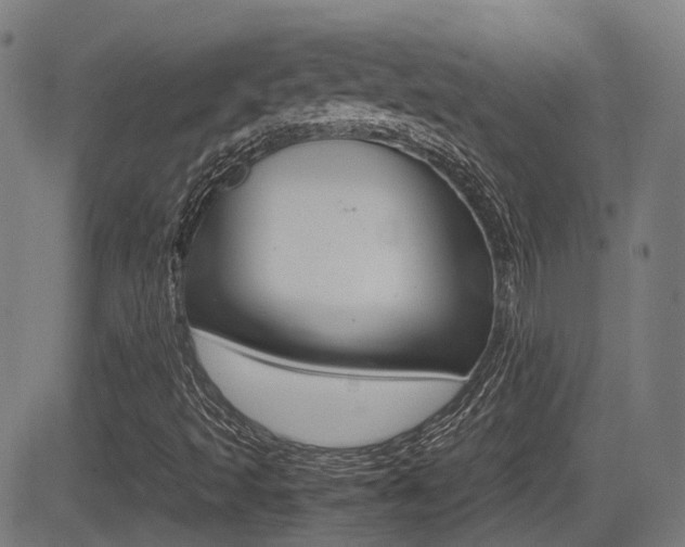 X0000081291493200701110855