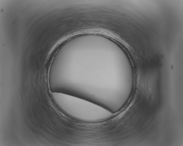 X0000081291498200701110855