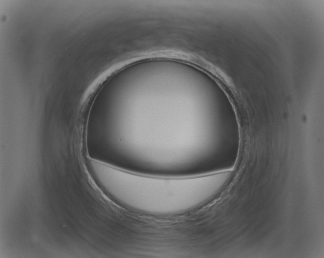 X0000081291504200701110855