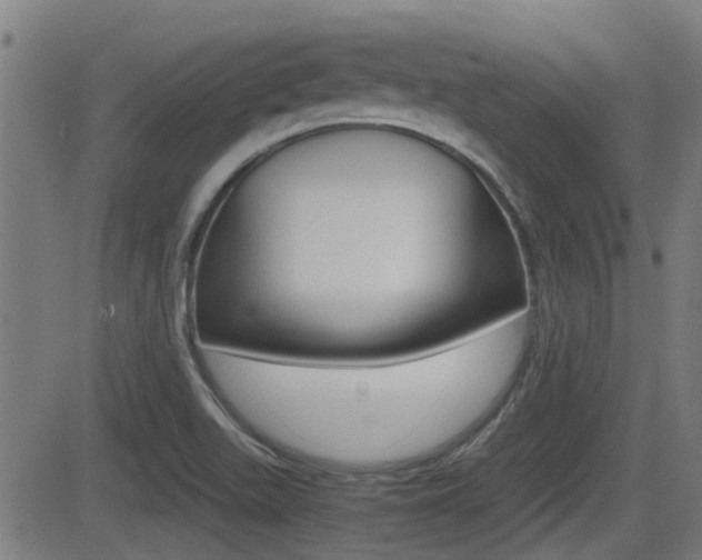 X0000081291511200701110855