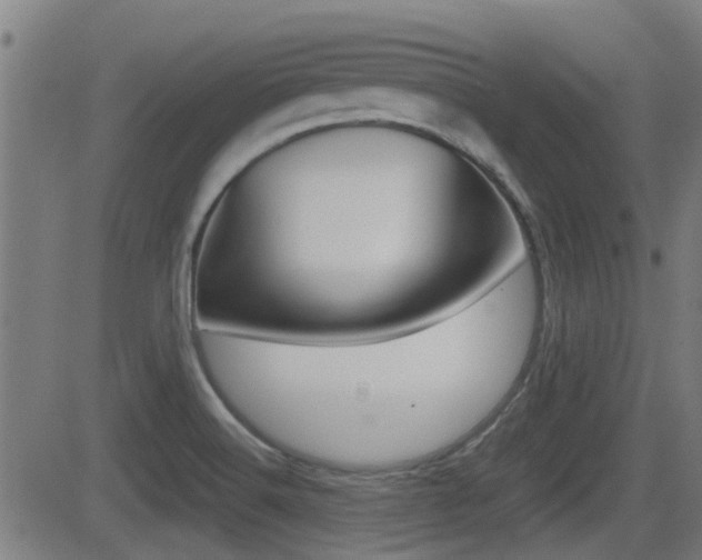 X0000081291516200701110856
